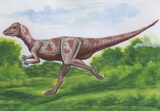 Micropachycephalosaurus Micropachycephalosaurus Pictures amp Facts The Dinosaur Database