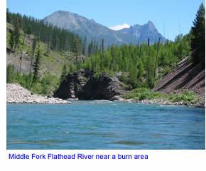 Middle Fork Flathead River wwwbigskyfishingcomRiverFishingNWMTRiversF