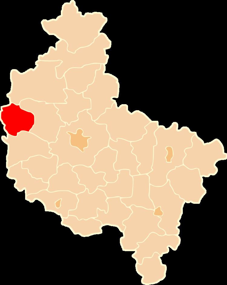 Międzychód County