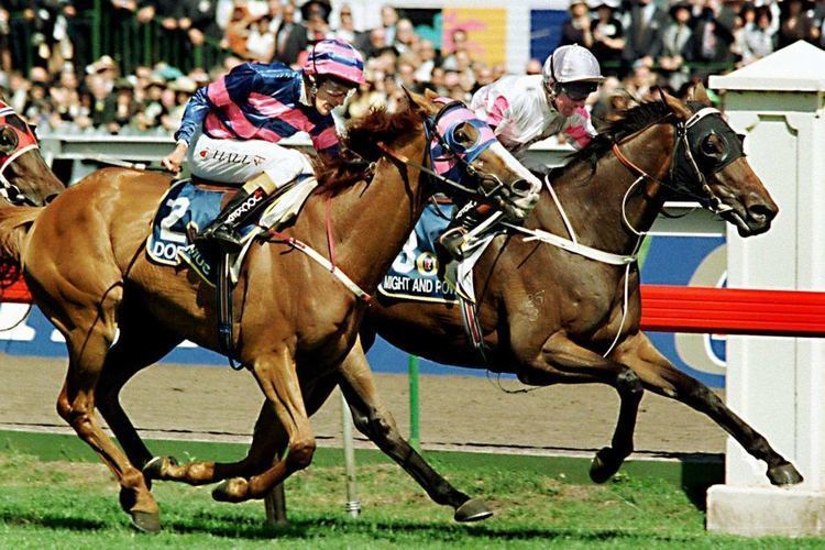 Might and Power Might And Power wins 1997 Melbourne Cup ABC News Australian
