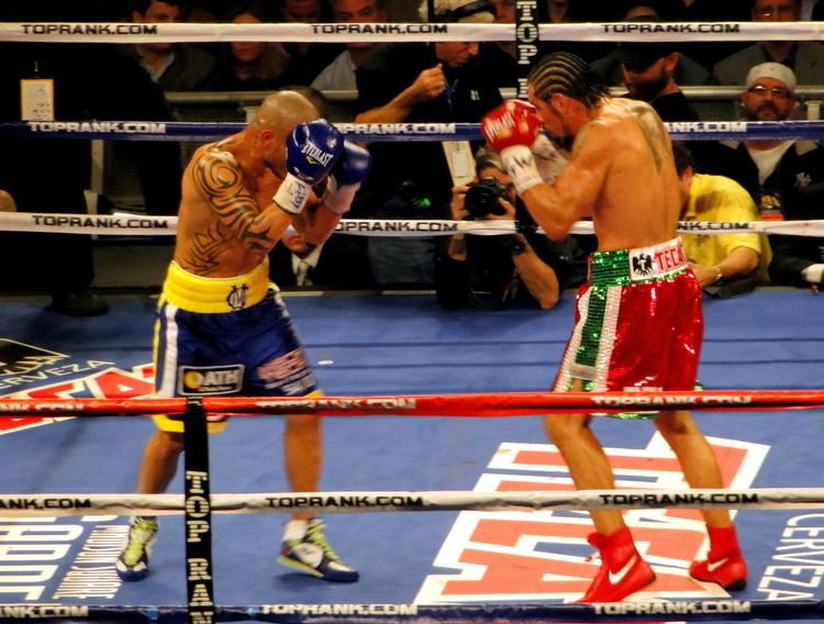 Miguel Cotto vs. Antonio Margarito II FileMiguel Cotto vs Antonio Margarito II during the fightjpg