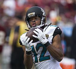 Mike Brown (wide receiver) Mike Brown wide receiver Wikipedia