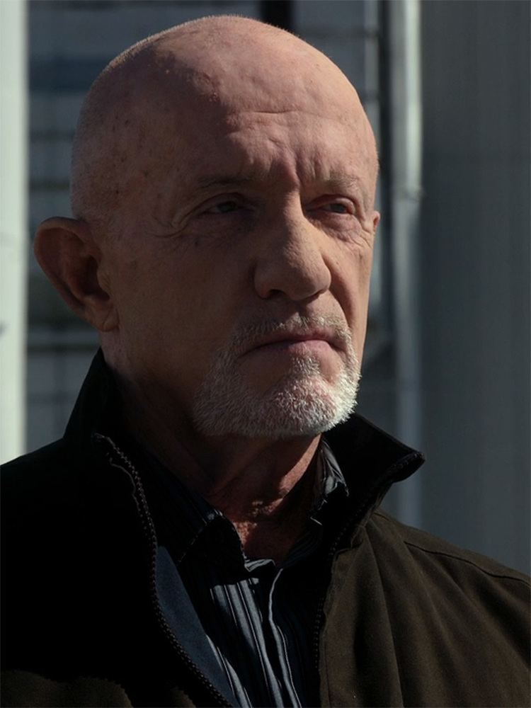 Mike Ehrmantraut Picture of Mike Ehrmantraut