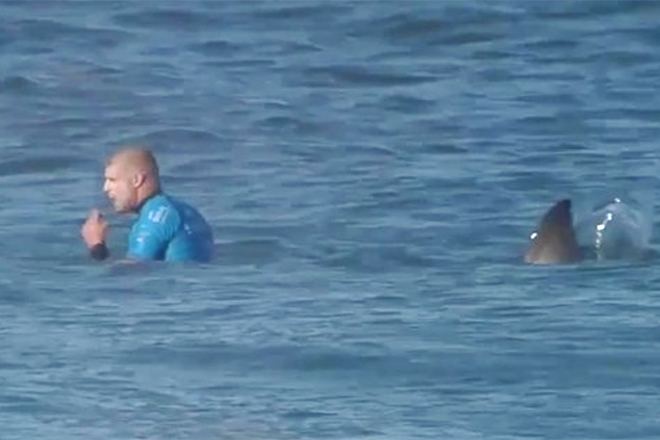 Mike Fanning Watch Surfer Mick Fanning Escape from a Shark Attack