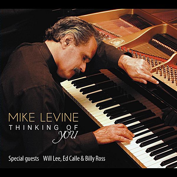 Mike Levine (musician) Mike Levine Thinking of You CD Baby Music Store