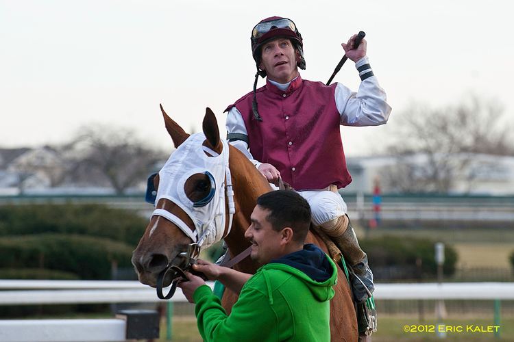 Mike Luzzi Luzzi Injured in Aqueduct Paddock Accident Horse Racing News