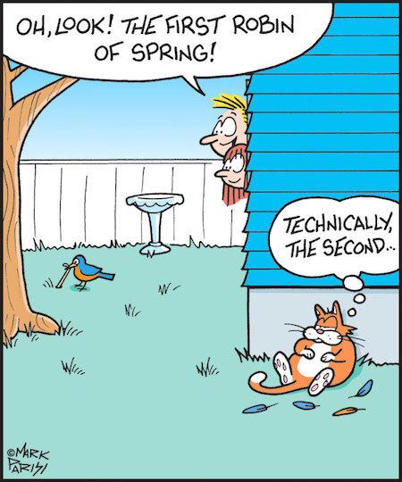 Mark Parisi Mark Parisi releases 39Cartoons Your Cat Doesn39t Want You