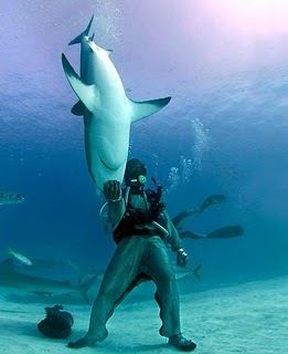 Mike Rutzen Michael Rutzen dives with sharks a pretty extreme