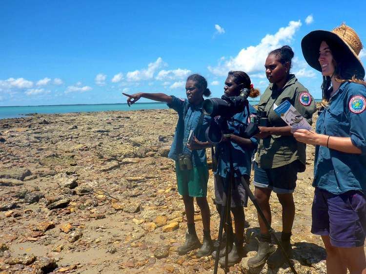 Milingimbi Island Crocodile Islands Rangers conducting a shorebird survey at Rocky