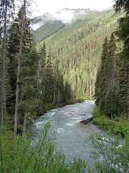 Milk River (British Columbia) httpsuploadwikimediaorgwikipediacommonsthu
