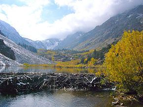 Mill Creek (Mono Lake) httpsuploadwikimediaorgwikipediacommonsthu