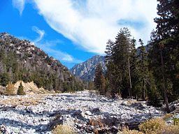 Mill Creek (San Bernardino County) httpsuploadwikimediaorgwikipediaenthumb4
