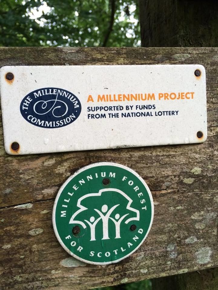 Millennium Forest for Scotland