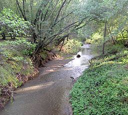 Miller Creek (Marin County, California) httpsuploadwikimediaorgwikipediacommonsthu