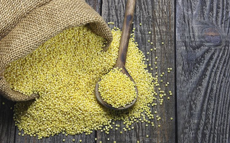 Millet Millet A GlutenFree Grain You Should Avoid