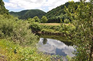 Millicoma River httpsuploadwikimediaorgwikipediacommonsthu