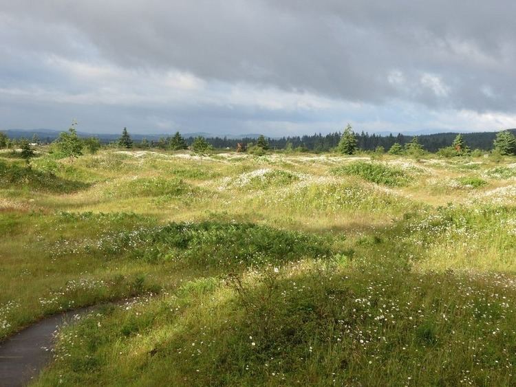 Mima mounds The Mysterious Mima Mounds Amusing Planet