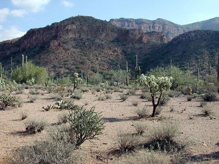 Mineral Mountains (Arizona)