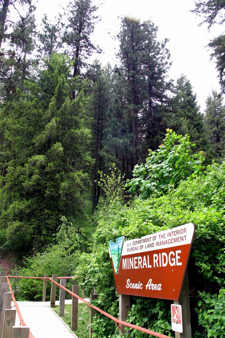 Mineral Ridge National Recreation Trail, Idaho Mineral Ridge National Recreation Trail Idaho Wikipedia