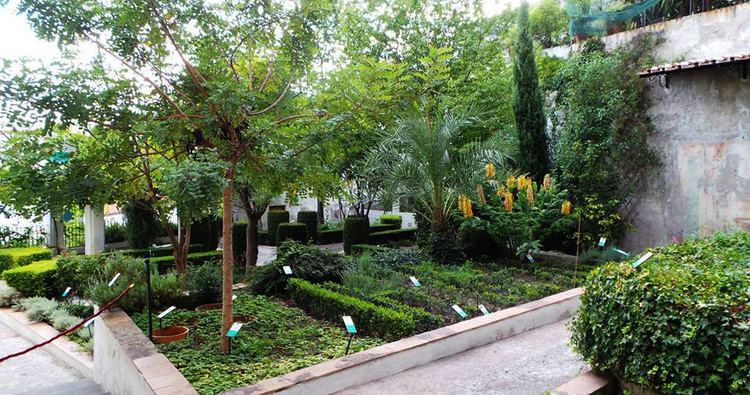 Minerva's Garden (Salerno)