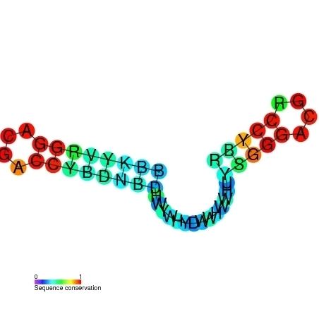 Mini-ykkC RNA motif