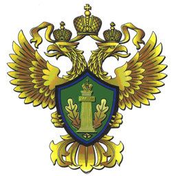 Ministry of Natural Resources and Environment (Russia) httpsuploadwikimediaorgwikipediaen22eRus