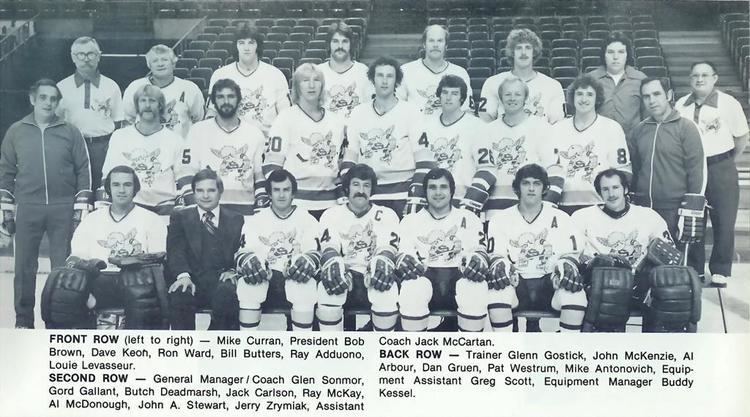 Minnesota Fighting Saints Minnesota Fighting Saints 19721977