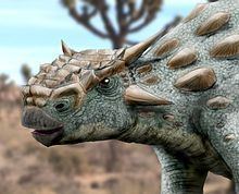 Minotaurasaurus httpsuploadwikimediaorgwikipediacommonsthu