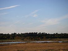 Minsmere-Walberswick Heaths and Marshes httpsuploadwikimediaorgwikipediacommonsthu