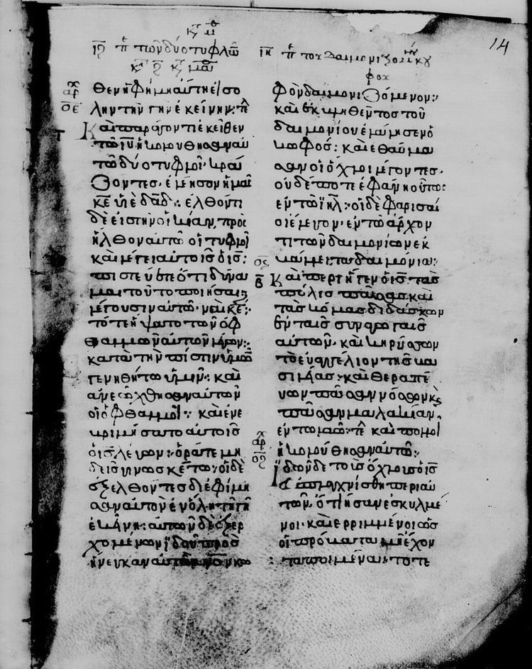 Minuscule 828 (Gregory-Aland)