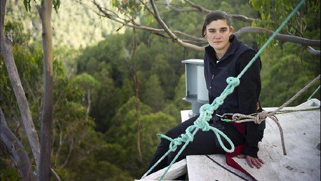 Miranda Gibson Bushfire ends Miranda Gibson39s record 457 day tree protest