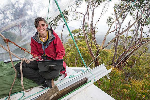 Miranda Gibson Six month milestone for Tasmanian tree sitter Tasmanian