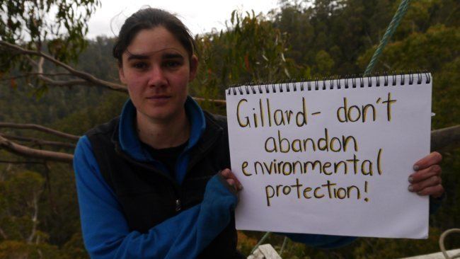 Miranda Gibson Bushfire ends Miranda Gibson39s record 457 day tree protest