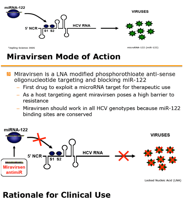 Miravirsen Antiviral Proof of Concept Study of Miravirsen an