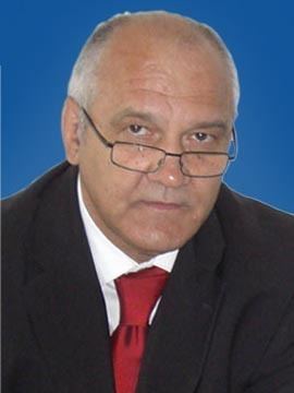 Mircea Grosaru wwwcdeproparlamentaril2008mariGrosaruMirceajpg