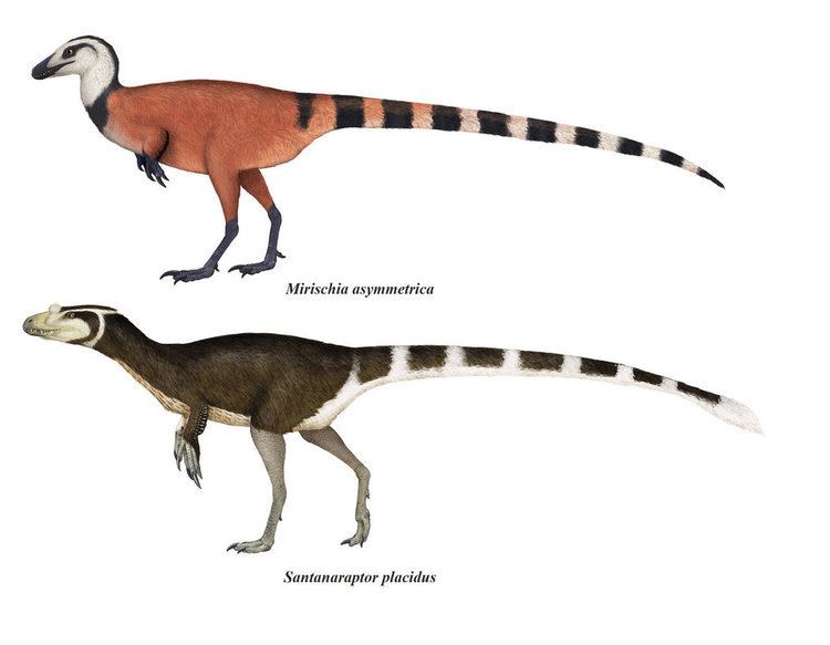 Mirischia Mirischia and Santanasaurus by Kanahebi on DeviantArt