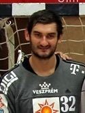 Mirko Alilović httpsuploadwikimediaorgwikipediacommons77