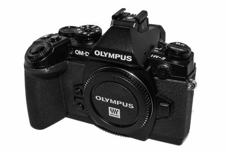 Mirrorless interchangeable-lens camera