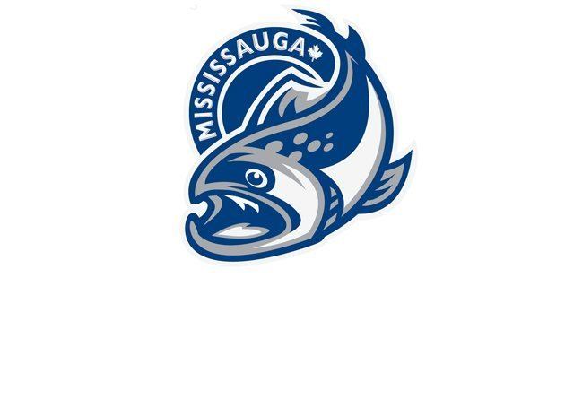 Mississauga Steelheads Mississauga Steelheads unveil new logo Ontario Hockey League