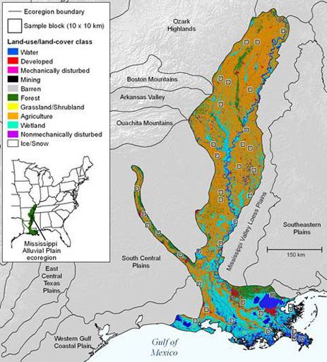 Mississippi Alluvial Plain Land Cover Trends