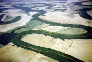 Mississippi Alluvial Plain Designing A Future For Arkansas Wildlife