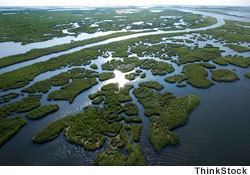 Mississippi Delta SeaLevel Rise in the Mississippi Delta LA USA Global Warming