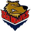 Mississippi Sea Wolves httpsuploadwikimediaorgwikipediaen22dMis