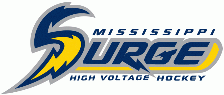 Mississippi Surge Mississippi Surge Hockey Building Affordable Homes in Mississippi