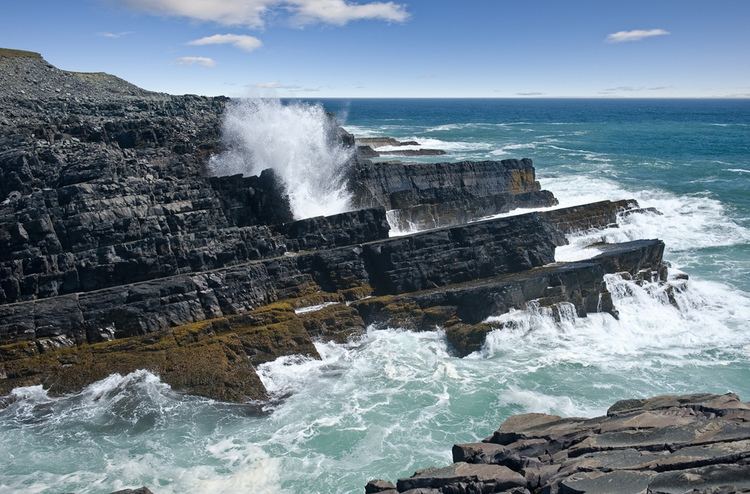 Mistaken Point Ecological Reserve Coastline at Mistaken Point Ecological Reserve wwwnewfoun Flickr