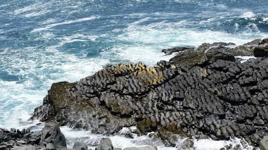 Mistaken Point Ecological Reserve Fossilien V Picture of Mistaken Point Ecological Reserve Portugal