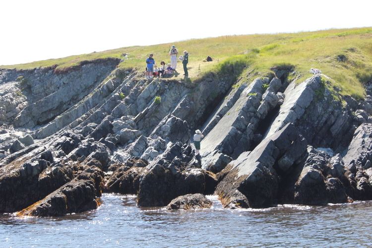 Mistaken Point, Newfoundland and Labrador Wilderness and Ecological Reserves Department of Environment and