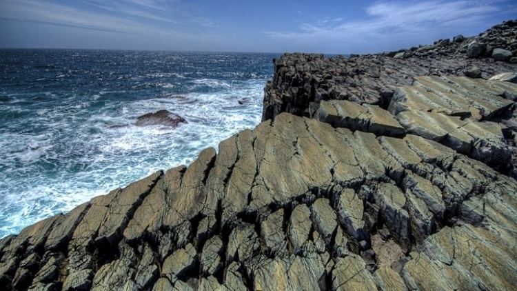 Mistaken Point, Newfoundland and Labrador Mistaken Point being evaluated in UNESCO World Heritage bid