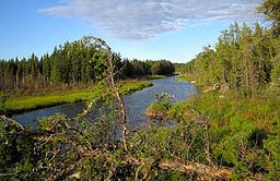 Mistik Creek httpsuploadwikimediaorgwikipediacommonsthu