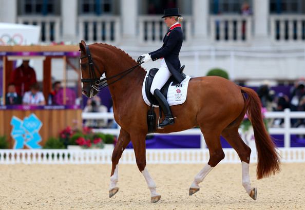 Mistral Højris Mistral Hojris Photos Photos Olympics Day 11 Equestrian Zimbio